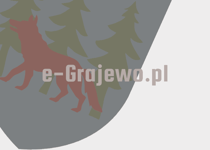 Grajewo ogłoszenia: Oddam drewno rozbiórkowe. Odbiór we własnym zakresie.