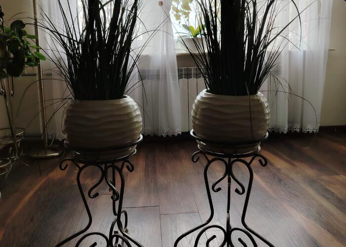 Grajewo ogłoszenia: Sprzedam w komplecie dwa kwietniki, w stanie bardzo dobrym;
 cena...